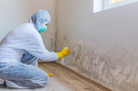  Los Fresnos, TX Mold Remediation Pros